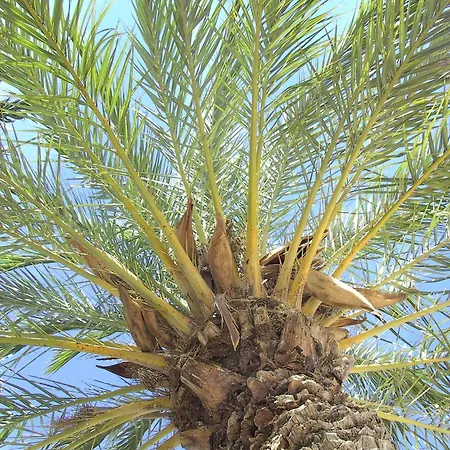 Select'sohome - A Deux Pas De La Du Lavandou Pour 4 Personnes - Avec Piscine Et Tennis - Cyclades-18 לה לבאנדו